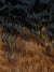 FREETRESS EQUAL SYNTHETIC LACE FRONT LONG CURLY WAVY HAIR WIG - FREEDOM PART 202