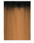 FREETRESS EQUAL SYNTHETIC LACE FRONT LONG CURLY WAVY HAIR WIG - FREEDOM PART 202